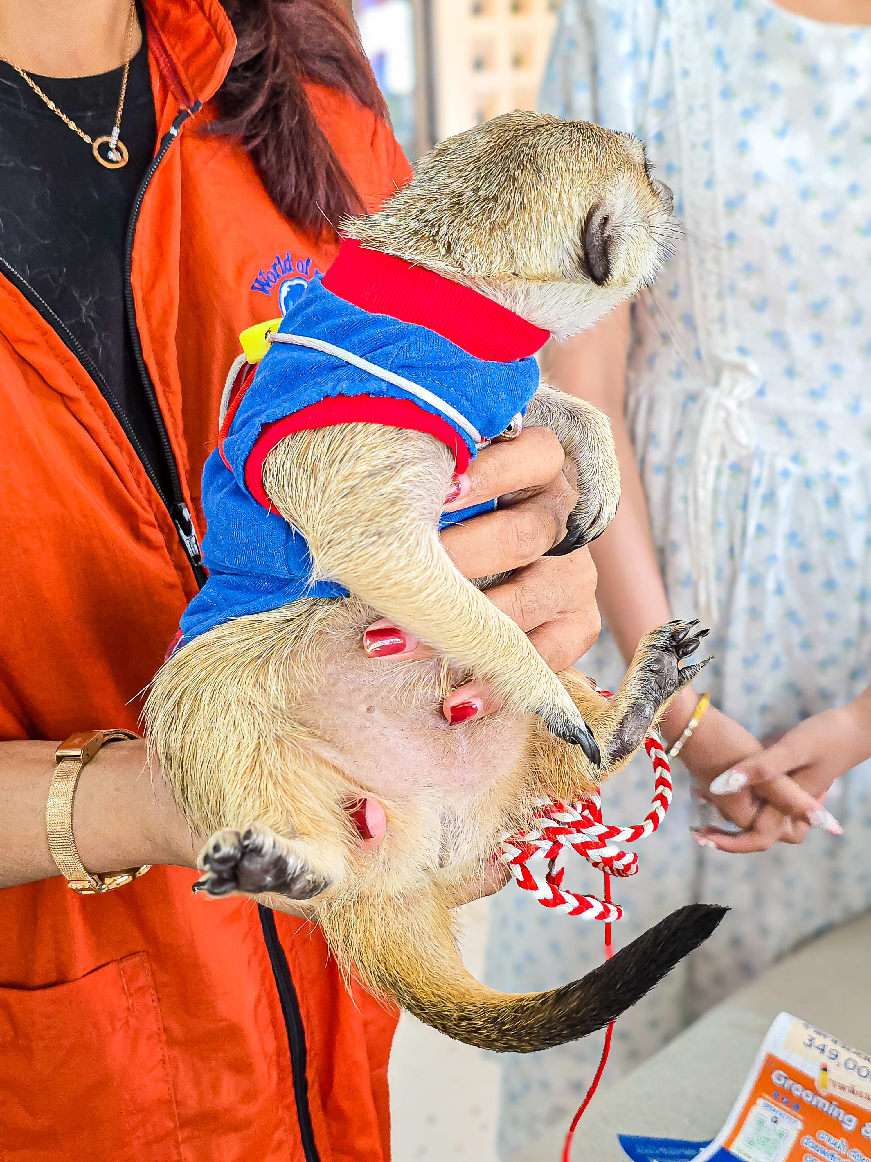 World of Pet แฟรนไชส์ ภาพที่ 12